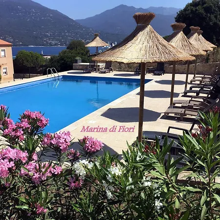 Marina Di Fiori Appartement
